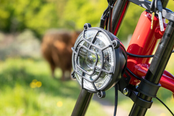 e-carus trail e-bike - Afbeelding 5