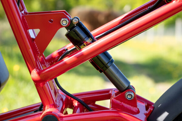 e-carus trail e-bike - Afbeelding 6