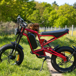 e-carus e-bike