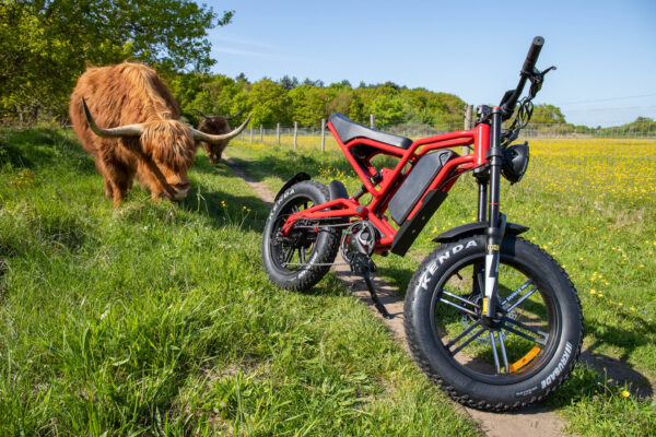 e-carus trail e-bike - Afbeelding 2